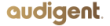 Audigent-3.png-rtvr6gtwr8wg3ixl9siyu7puh7tgy4gzek5hozsuhg